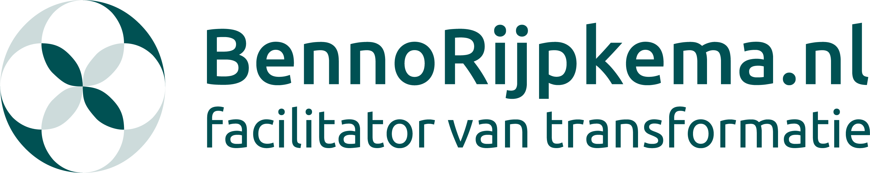Logo BennoRijpkema.nl, Facilitator van transformatie