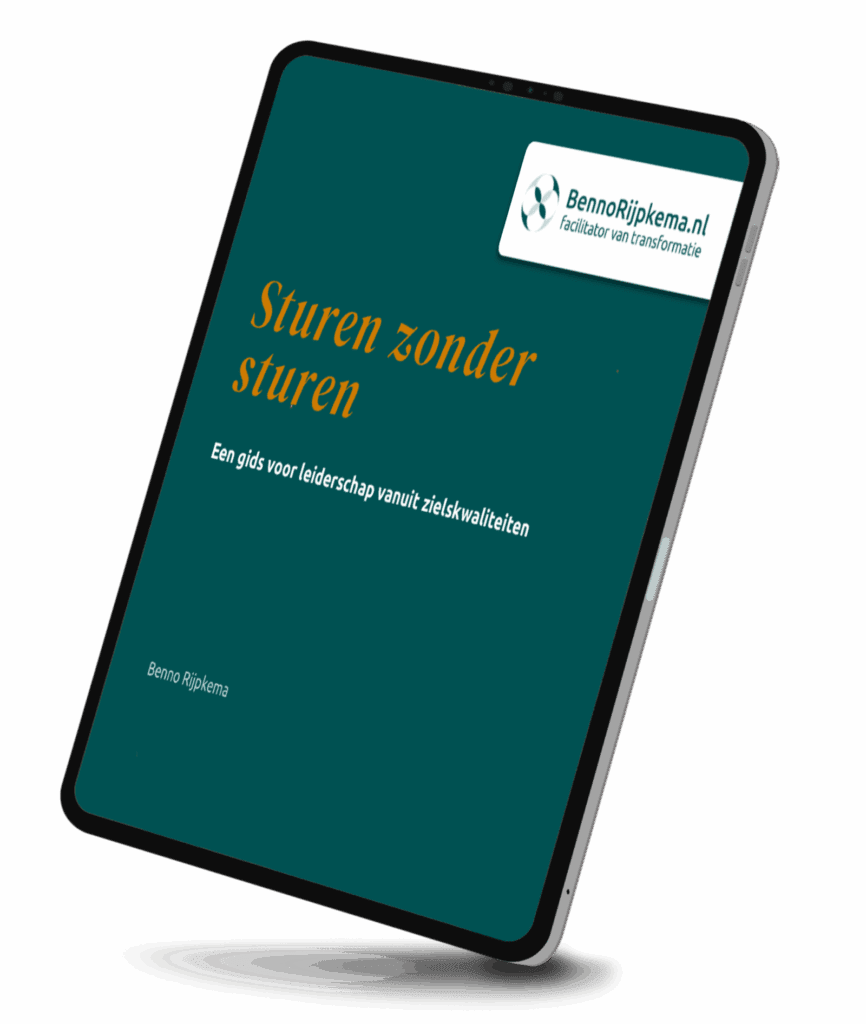 Cover van het ebook Sturen zonder Sturen van Benno Rijpkema over natuurlijk en bezield leiderschap.