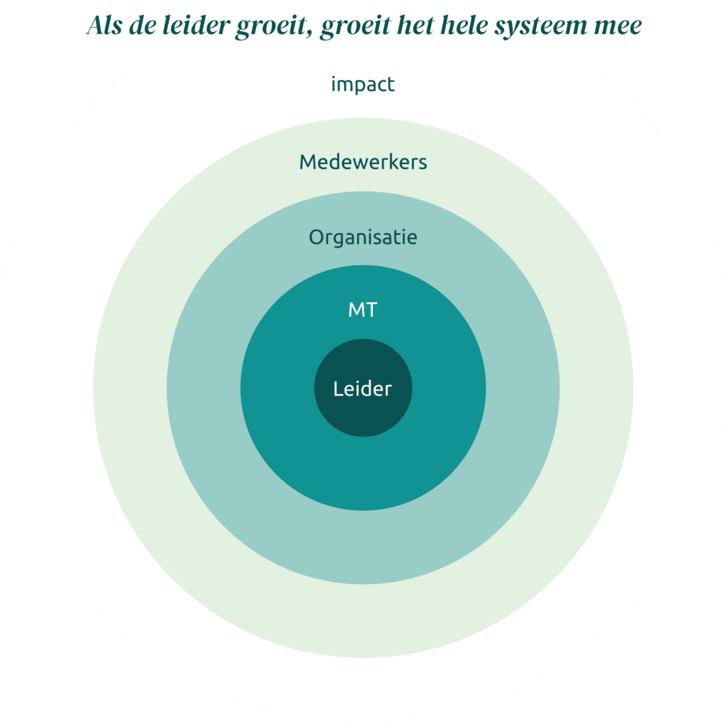 Groeiende leiders en hun invloed